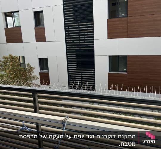 דוקרנים למניעת יונים על מעקה מרפסת